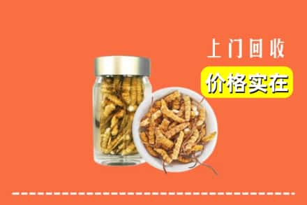 咸宁赤壁市回收散虫草
