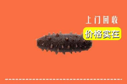 咸宁赤壁市回收海参