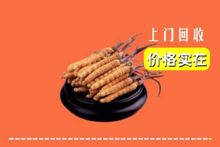 咸宁赤壁市回收冬虫夏草